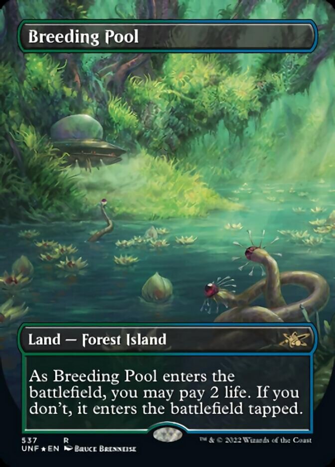 Breeding Pool (Borderless) (Galaxy Foil) [Unfinity] | RetroPlay Games