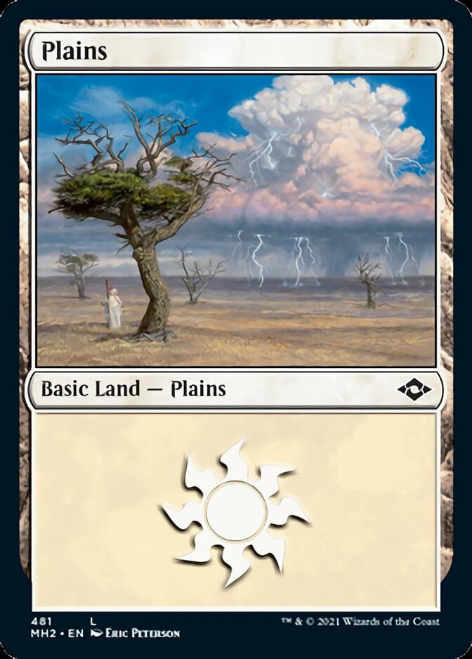 Plains (481) [Modern Horizons 2] | RetroPlay Games