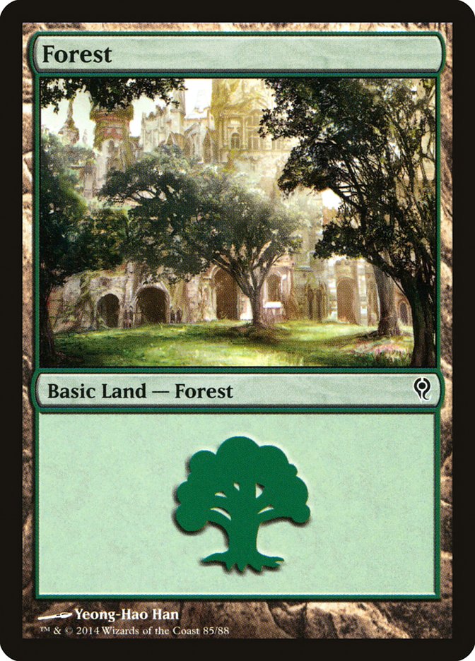 Forest (85) [Duel Decks: Jace vs. Vraska] | RetroPlay Games