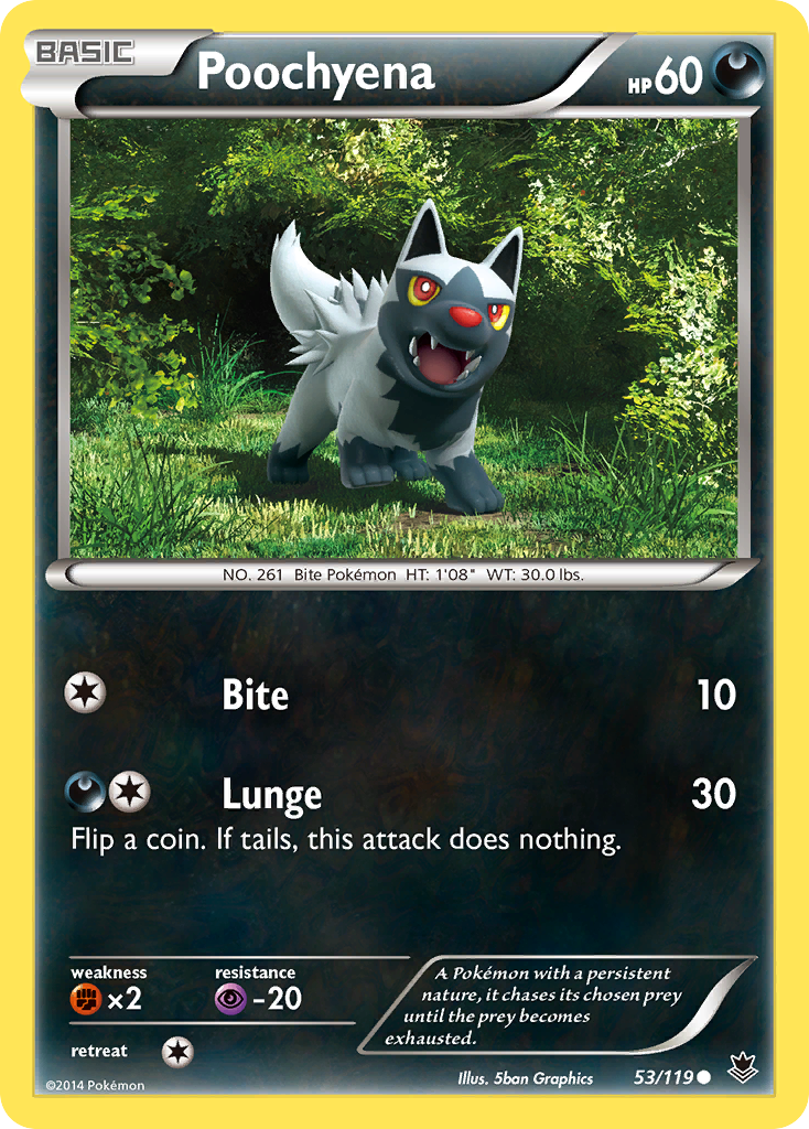 Poochyena (53/119) [XY: Phantom Forces] | RetroPlay Games