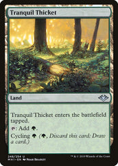 Tranquil Thicket [Modern Horizons] | RetroPlay Games