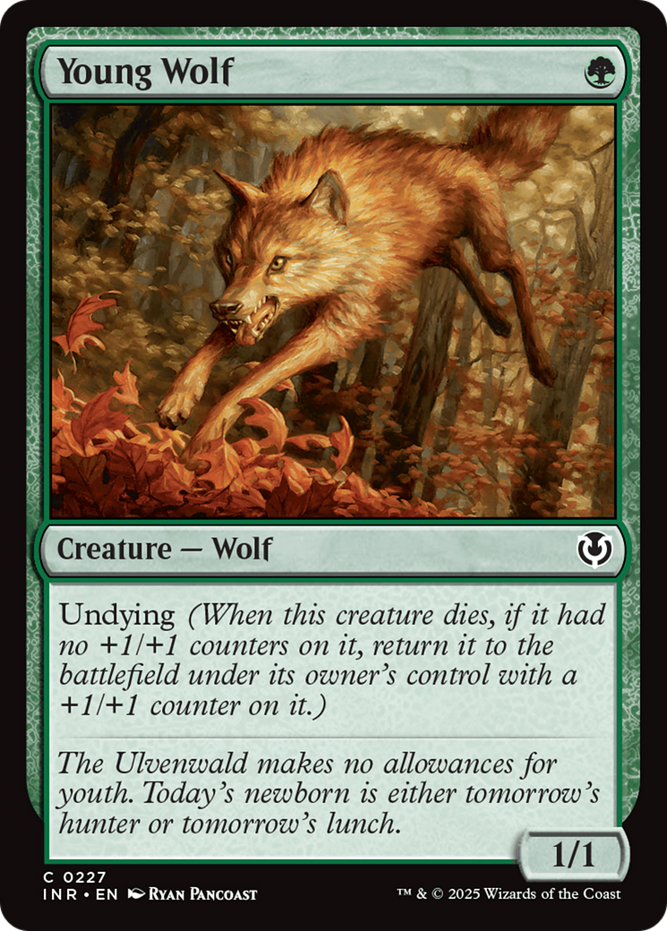 Young Wolf [Innistrad Remastered] | RetroPlay Games