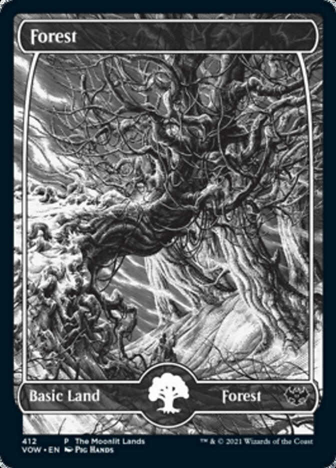 Forest (The Moonlit Lands) (Foil Etched) [Innistrad: Crimson Vow Promos] | RetroPlay Games