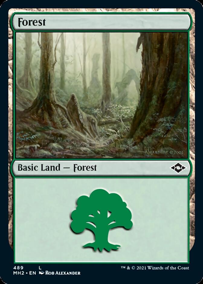 Forest (489) (Foil Etched) [Modern Horizons 2] | RetroPlay Games