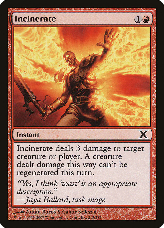 Incinerate [Tenth Edition] | RetroPlay Games
