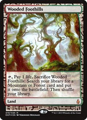 Wooded Foothills [Zendikar Expeditions] | RetroPlay Games