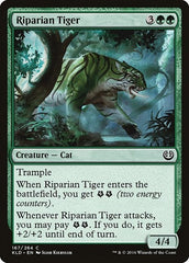 Riparian Tiger [Kaladesh] | RetroPlay Games