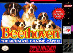 Beethoven - Super Nintendo | RetroPlay Games