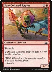 Sun-Collared Raptor [Rivals of Ixalan] | RetroPlay Games