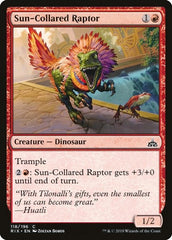 Sun-Collared Raptor [Rivals of Ixalan] | RetroPlay Games