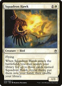 Squadron Hawk [Masters 25] | RetroPlay Games