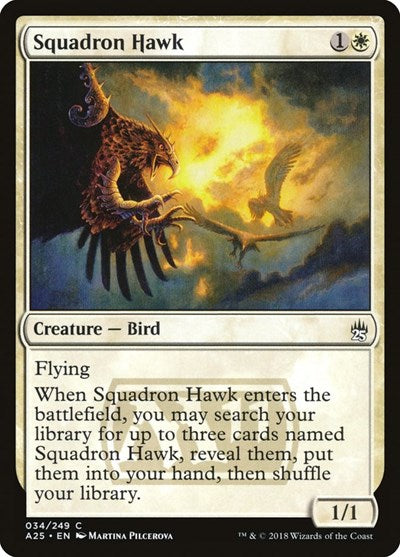 Squadron Hawk [Masters 25] | RetroPlay Games