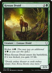 Krosan Druid [Dominaria] | RetroPlay Games