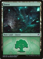 Forest - Golgari (A06) [GRN Ravnica Weekend] | RetroPlay Games