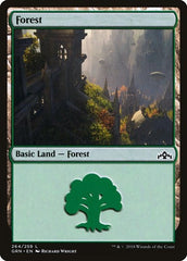 Forest [Guilds of Ravnica] | RetroPlay Games