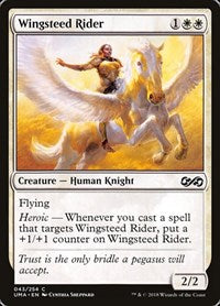 Wingsteed Rider [Ultimate Masters] | RetroPlay Games