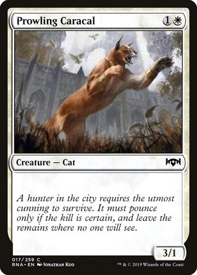 Prowling Caracal [Ravnica Allegiance] | RetroPlay Games