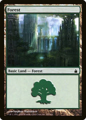 Forest [Ravnica: City of Guilds] | RetroPlay Games