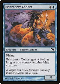 Briarberry Cohort [Shadowmoor] | RetroPlay Games