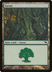 Forest [Shadowmoor] | RetroPlay Games