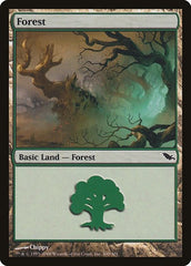 Forest [Shadowmoor] | RetroPlay Games