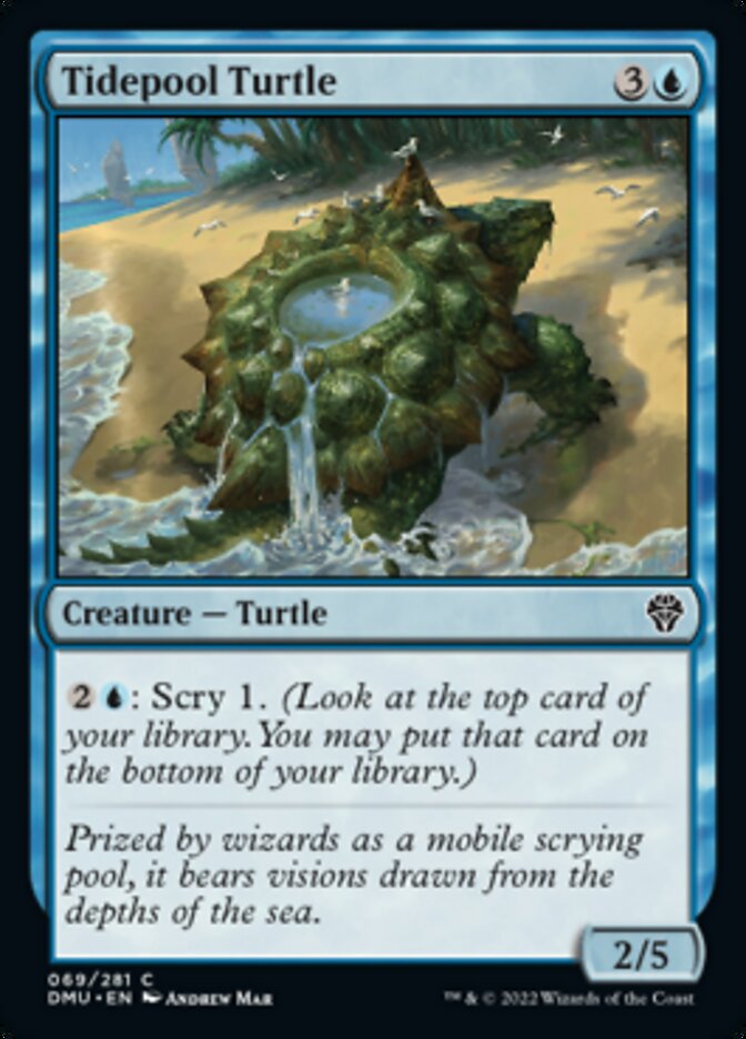 Tidepool Turtle [Dominaria United] | RetroPlay Games