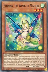 Feedran, the Winds of Mischief [IGAS-EN082] Common | RetroPlay Games