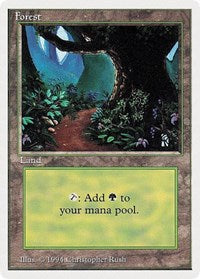 Forest (B) [Summer Magic] | RetroPlay Games