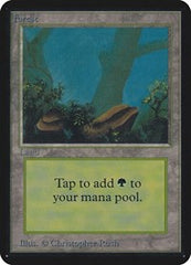 Forest [Limited Edition Alpha] | RetroPlay Games