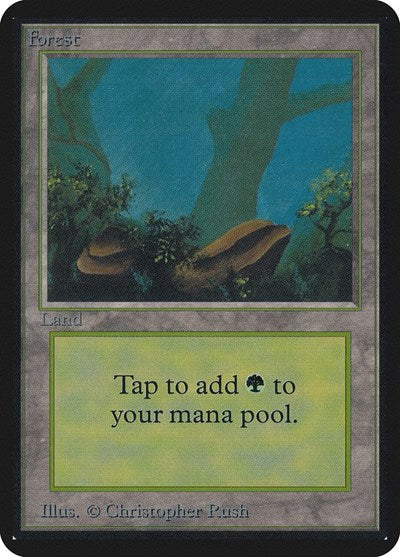 Forest [Limited Edition Alpha] | RetroPlay Games