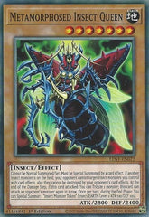 Metamorphosed Insect Queen [LDS1-EN072] Common | RetroPlay Games