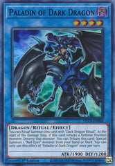 Paladin of Dark Dragon (Blue) [DLCS-EN069] Ultra Rare | RetroPlay Games