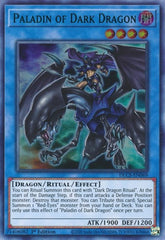 Paladin of Dark Dragon (Green) [DLCS-EN069] Ultra Rare | RetroPlay Games