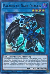 Paladin of Dark Dragon (Purple) [DLCS-EN069] Ultra Rare | RetroPlay Games