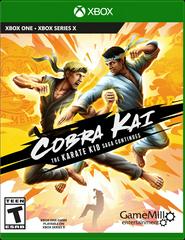 Cobra Kai: The Karate Kid Saga Continues - Xbox One | RetroPlay Games