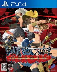 Onechanbara Origin - JP Playstation 4 | RetroPlay Games
