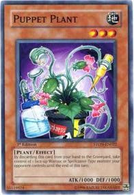 Puppet Plant [STON-EN022] Common | RetroPlay Games
