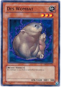 Des Wombat [DR3-EN211] Common | RetroPlay Games