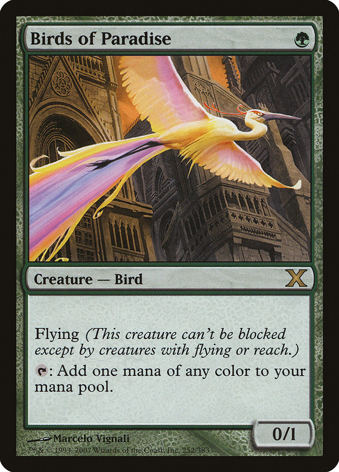 Birds of Paradise [Tenth Edition] | RetroPlay Games