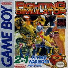 2 In 1: Flying Warriors / Fighting Simulator - GameBoy | RetroPlay Games