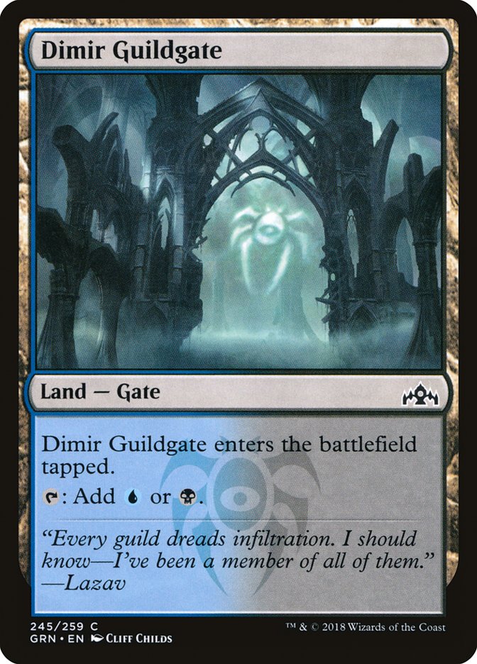 Dimir Guildgate (245/259) [Guilds of Ravnica] | RetroPlay Games