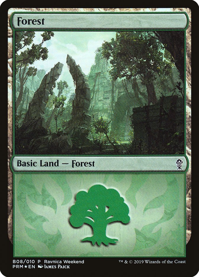 Forest (B08) [Ravnica Allegiance Guild Kit] | RetroPlay Games