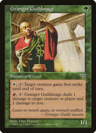 Granger Guildmage [Mirage] | RetroPlay Games
