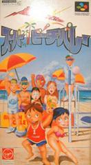 Inazuma Serve da Super Beach Volley - Super Famicom | RetroPlay Games