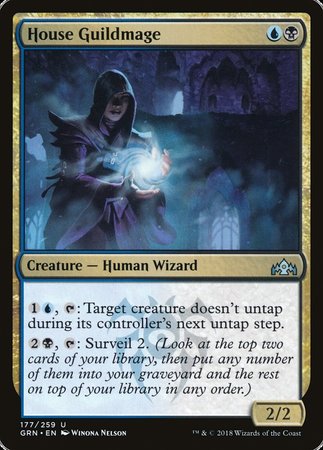 House Guildmage [Guilds of Ravnica] | RetroPlay Games