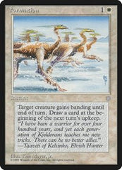 Formation [Ice Age] | RetroPlay Games