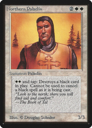 Northern Paladin [Limited Edition Beta] | RetroPlay Games