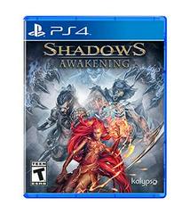 Shadows Awakening - Playstation 4 | RetroPlay Games
