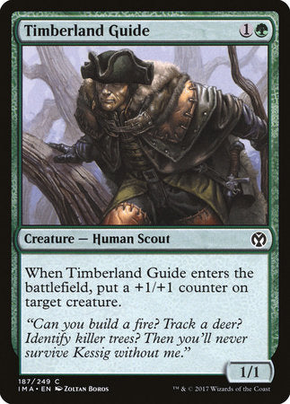 Timberland Guide [Iconic Masters] | RetroPlay Games