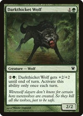 Darkthicket Wolf [Innistrad] | RetroPlay Games